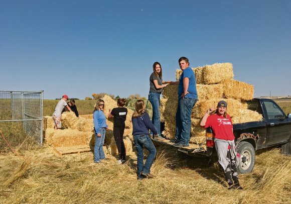 Classroom in Alberta exchanged for wide open spaces