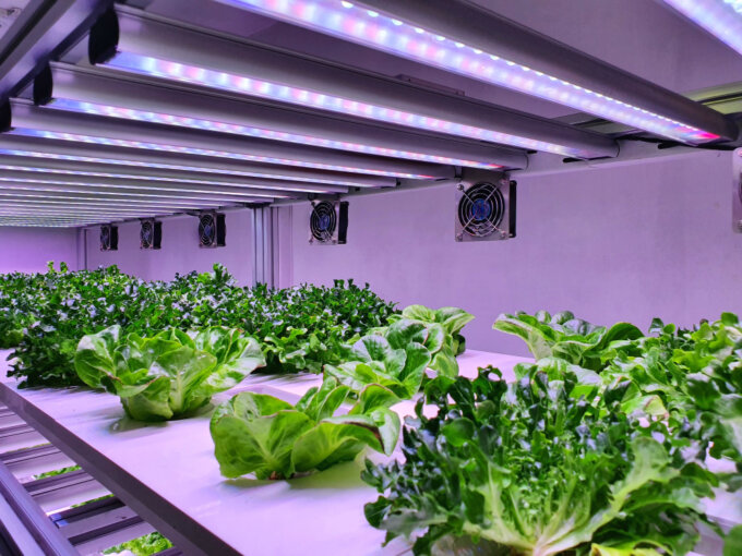 Indoor farming helps bring healthy food to northern Manitoba