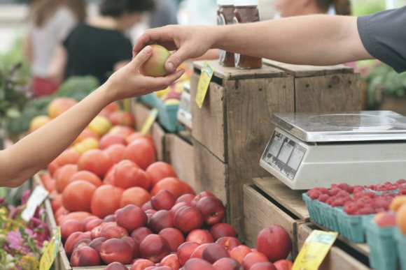 Indigenous founder moves home to address food security