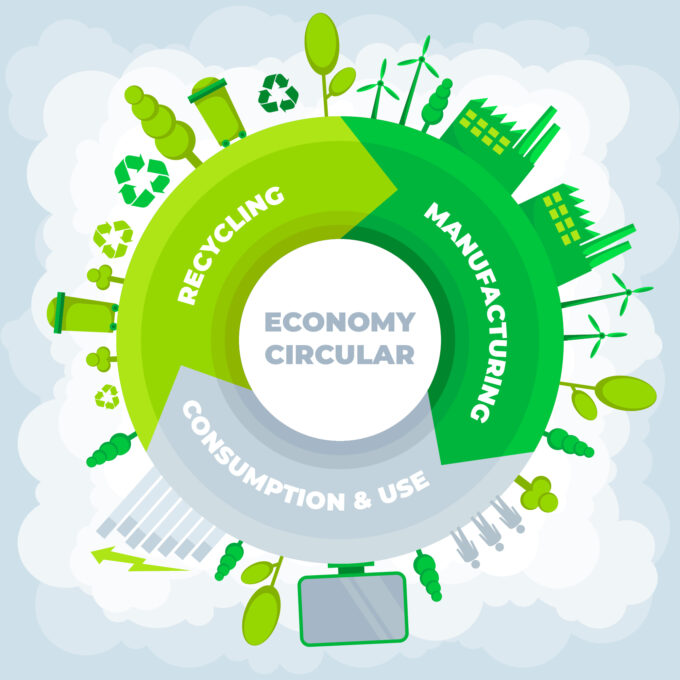 Circular Economy Transition and Impact