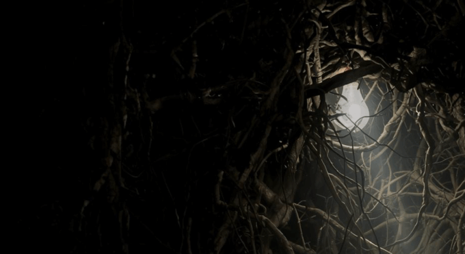 Why More Data Can Be Dangerous for Economic Development