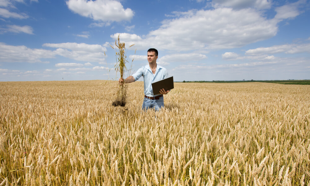 canstockphoto33416445